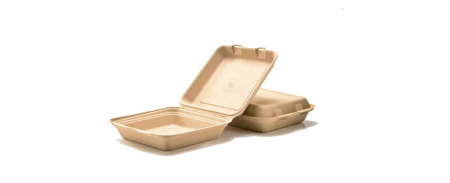 Biodegradable food boxes