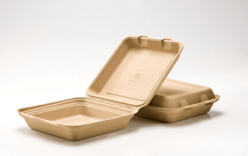 Biodegradable food box